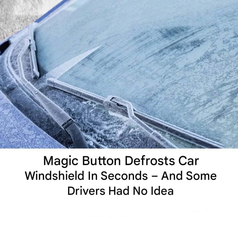 A__magic__button_defrosts_a_car_s_windshield_in_seconds___and_some_drivers_had_no_idea-1