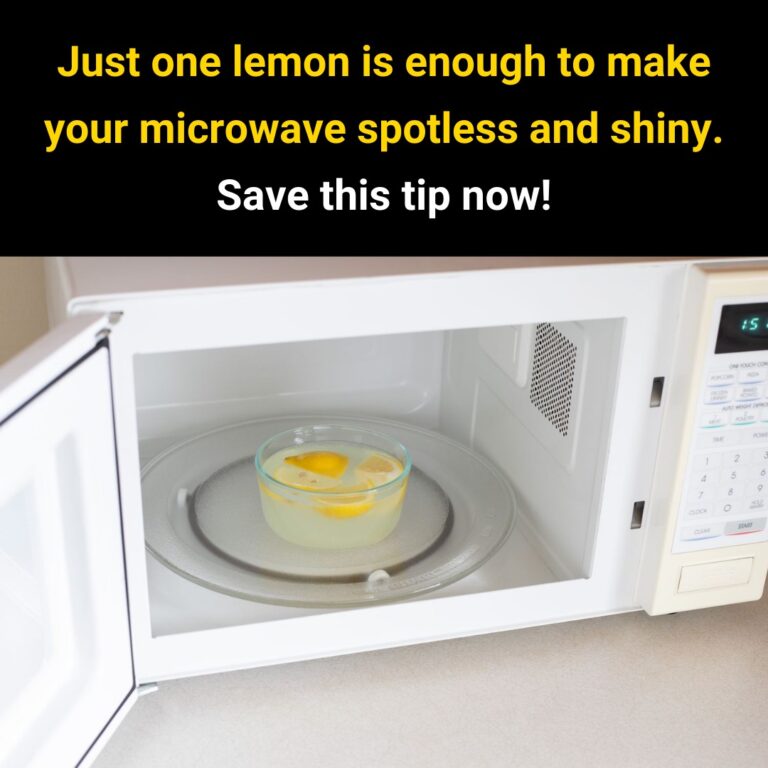 Just_One_Lemon_Can_Make_Your_Microwave_Sparkling_Clean-3
