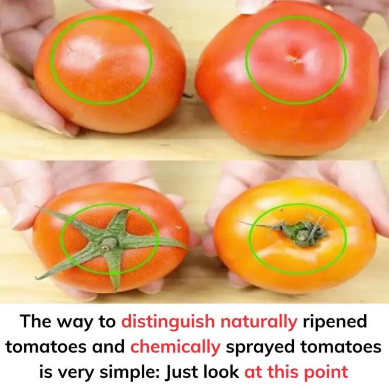 The_way_to_distinguish_naturally_ripened_tomatoes-2