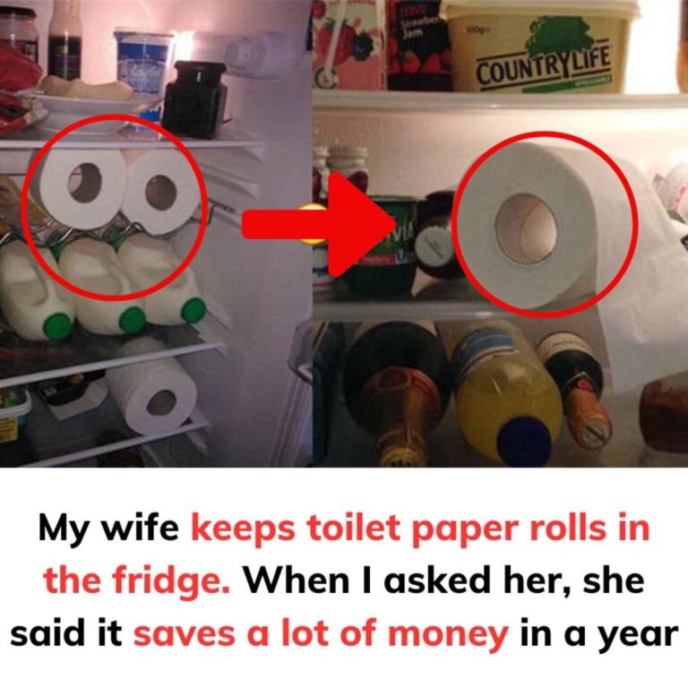 Your_wife_is_incredibly_clever-2