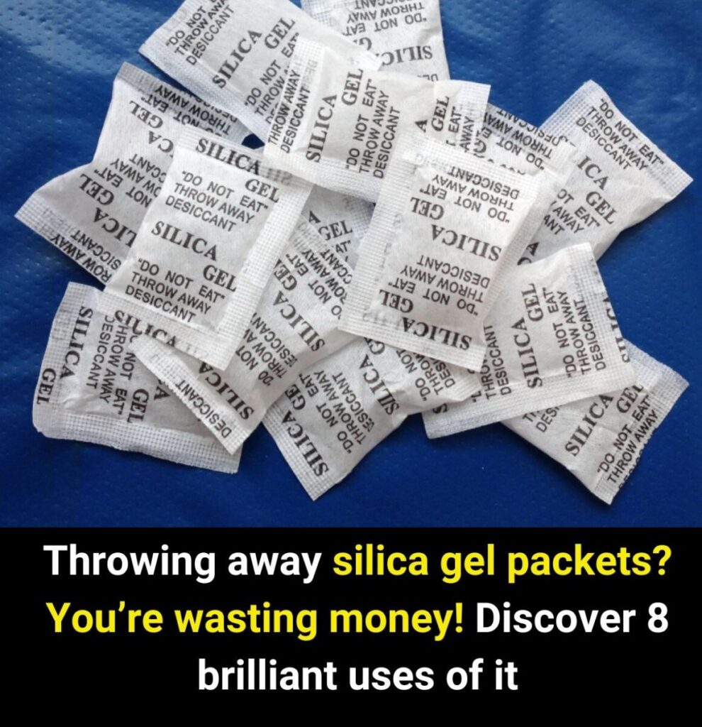 Throwing_Away_Silica_Gel_Packets__You_re_Wasting_Money_-1 Throwing_Away_Silica_Gel_Packets__You_re_Wasting_Money_-1