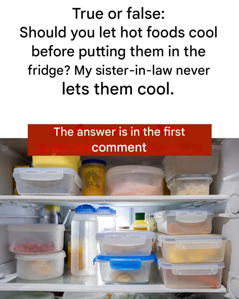 True_or_false__Should_you_let_hot_foods_cool_before_putting_them_in_the_fridge_-1 True_or_false__Should_you_let_hot_foods_cool_before_putting_them_in_the_fridge_-1