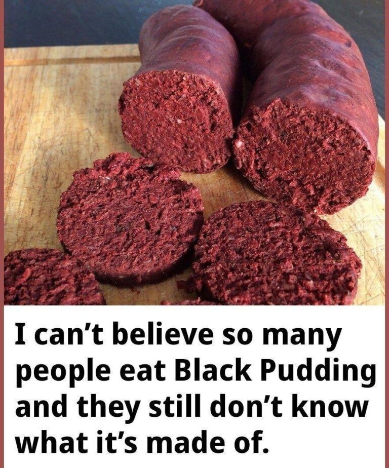 What_does_Black_Pudding_Really_Come_From_