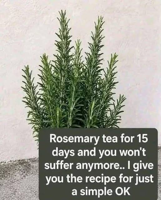 parsley tea