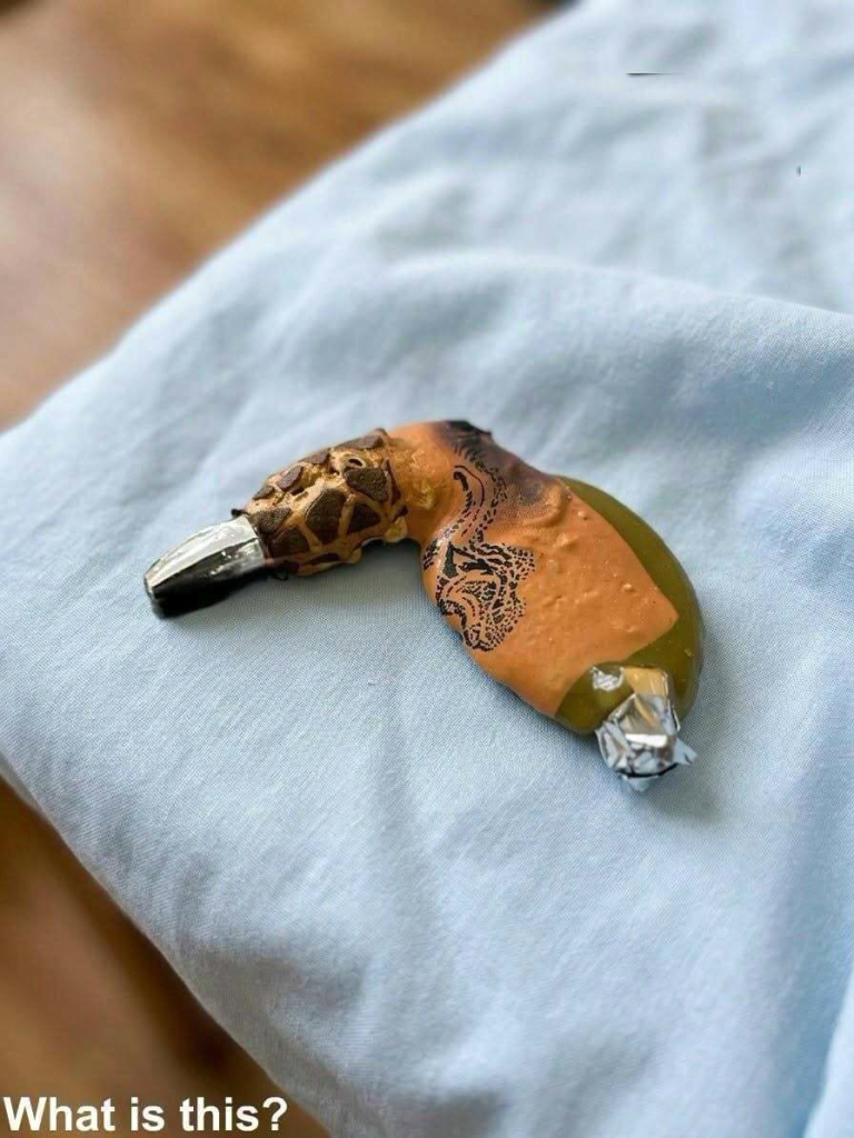 Found in the oven after cooking Thanksgiving dinner… Found in the oven after cooking Thanksgiving dinner…