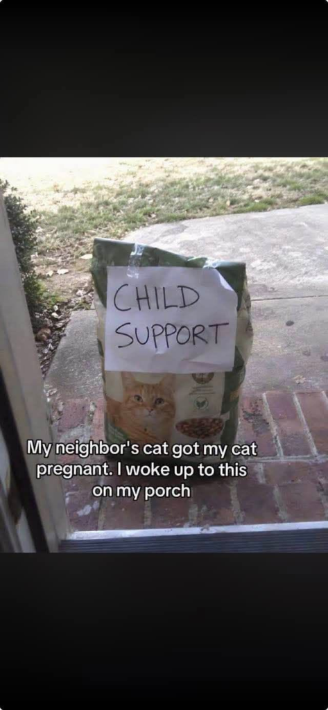 Neighbor’s Cat Fathers Litter, Responsibly Delivers First Child Support Payment in Kibble Neighbor’s Cat Fathers Litter, Responsibly Delivers First Child Support Payment in Kibble