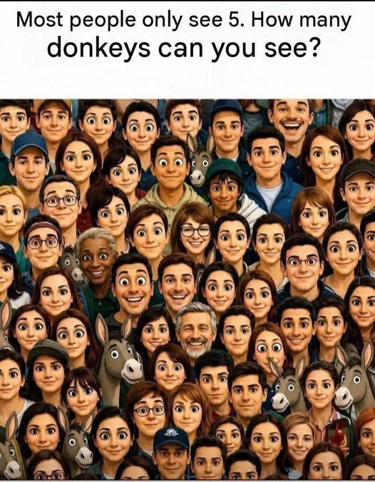 HOW MANY DONKEY CAN YOU SEE HOW MANY DONKEY CAN YOU SEE