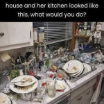 If You Walked Into Your Friend’s House and Her Kitchen Looked Like This, What Would You Do?