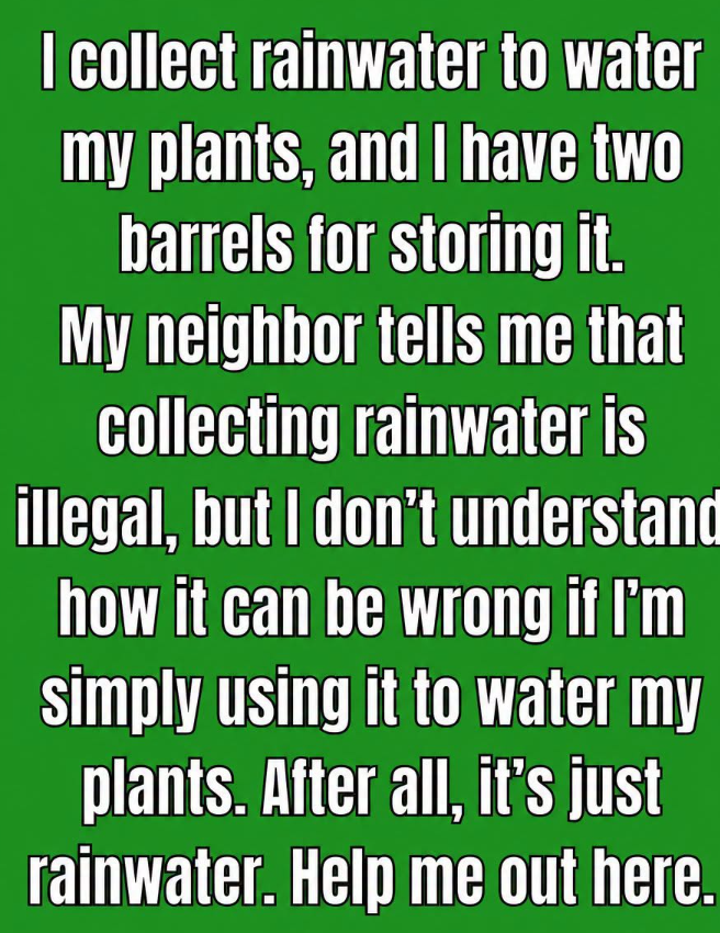 Can C0llecting Rainwater Really Get Y0u Arrested?